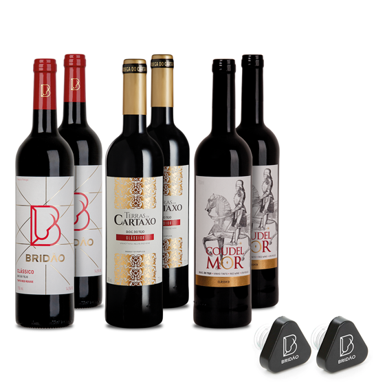 Classic Red wine box 6 units + Offer 2 Drop Stop Stoppers (online exclusive)