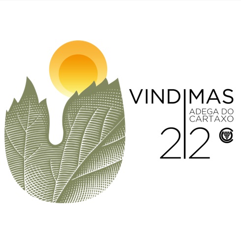 Venha conhecer os nossos programas de visitas para as vindimas de 2022