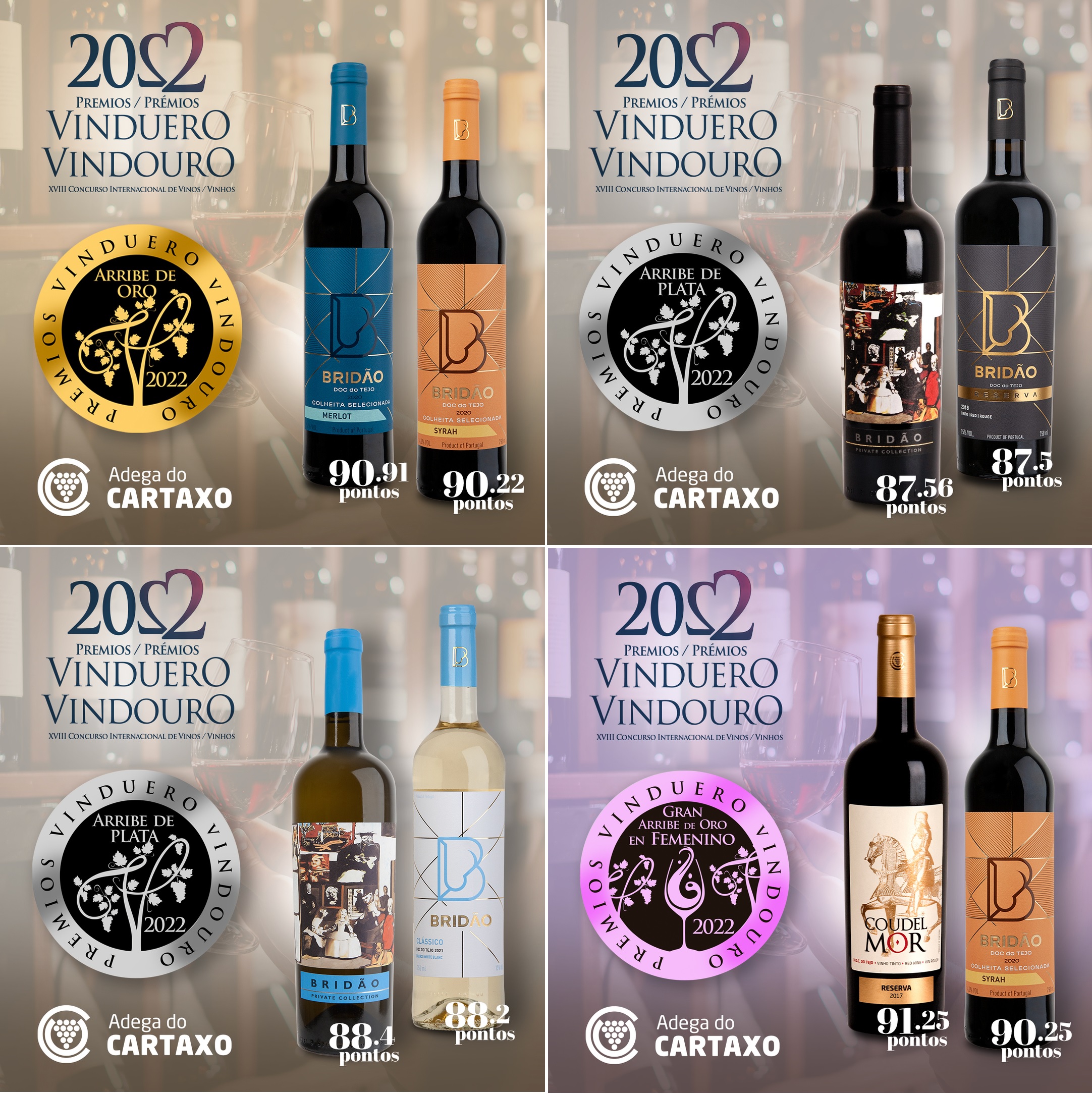 XVIII edition of the VinDuero-VinDouro Awards
