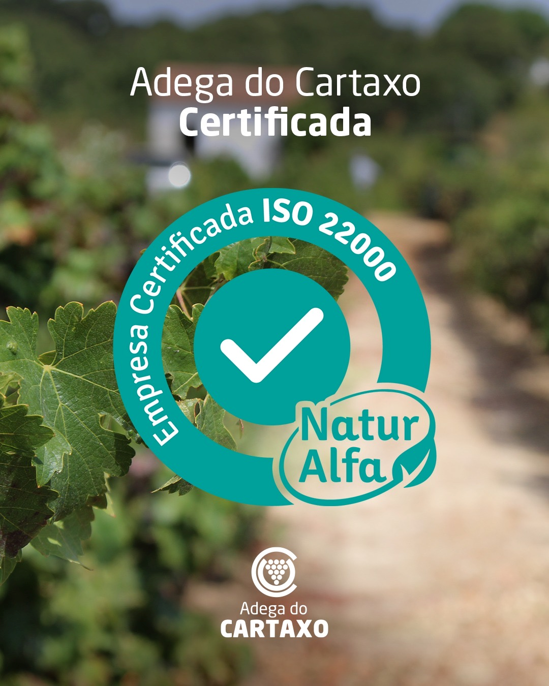 Adega do Cartaxo obtém certificação ISO 22000
