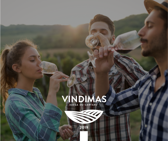 Adega Experience Vindimas 2019