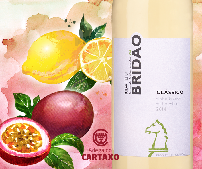 Bridão Clássico Branco 2014 classed as the PERFECT wine for summer